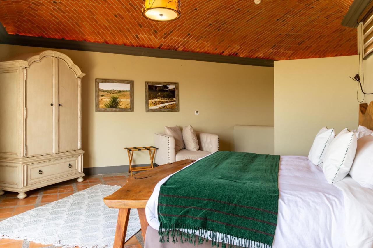 Hotel Camino De Vinos غواناخواتو المظهر الخارجي الصورة