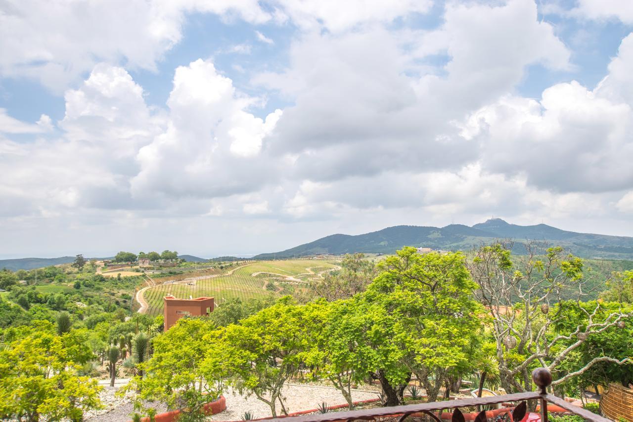 Hotel Camino De Vinos غواناخواتو المظهر الخارجي الصورة