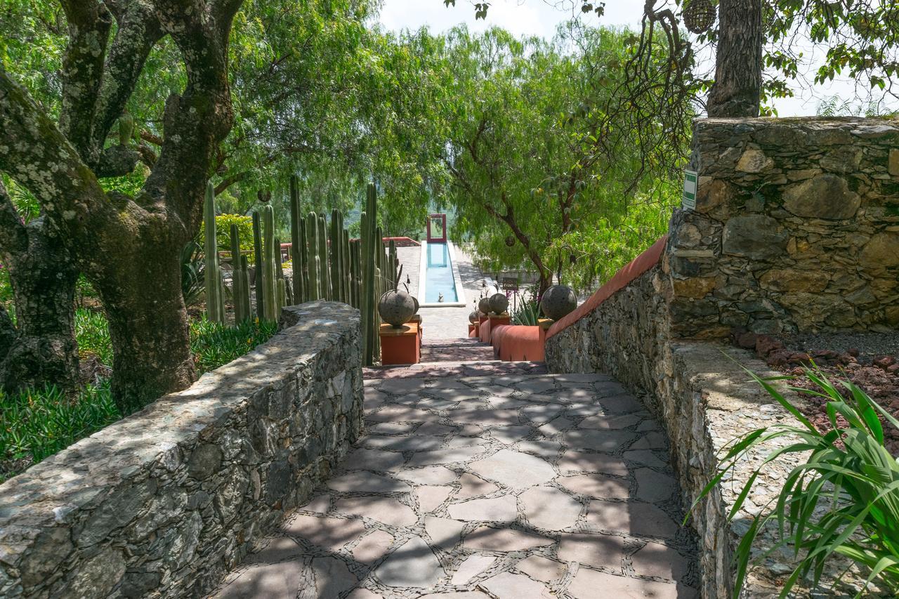 Hotel Camino De Vinos غواناخواتو المظهر الخارجي الصورة