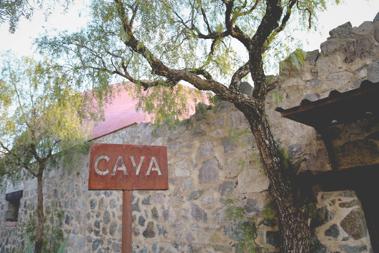 Hotel Camino De Vinos غواناخواتو المظهر الخارجي الصورة
