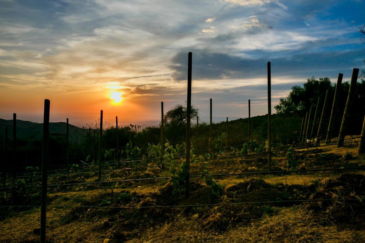 Hotel Camino De Vinos غواناخواتو المظهر الخارجي الصورة
